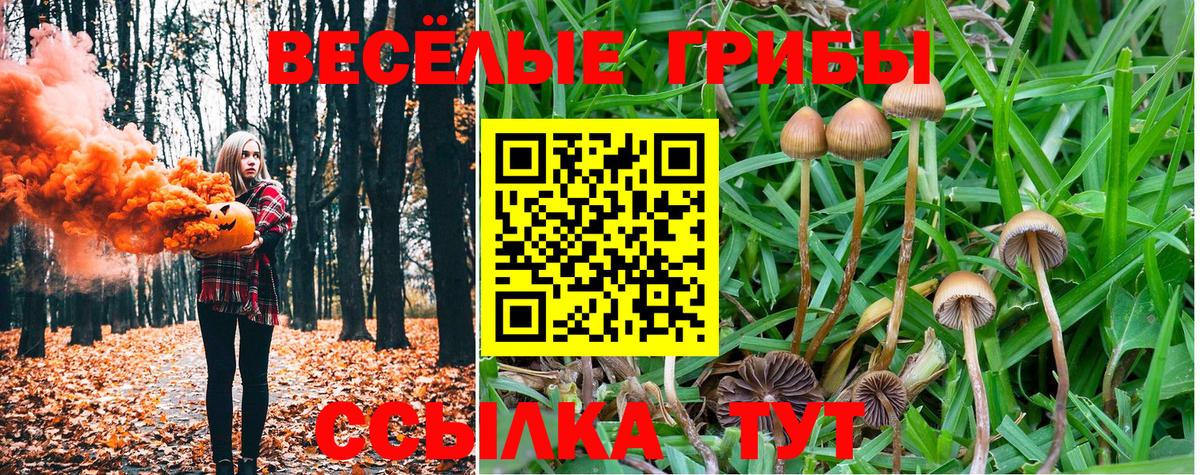 Галлюциногенные грибы GOLDEN TEACHER Донецк